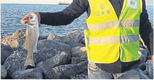 En büyük Balığı Tutmak İçin Yarıştılar