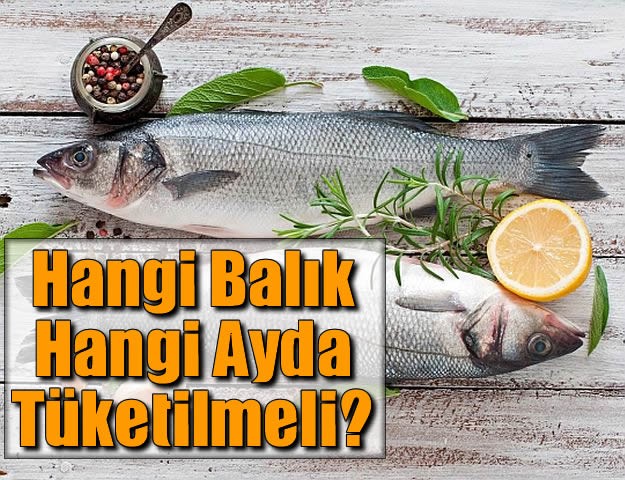 Hangi Balık Hangi Ayda Tüketilmeli?