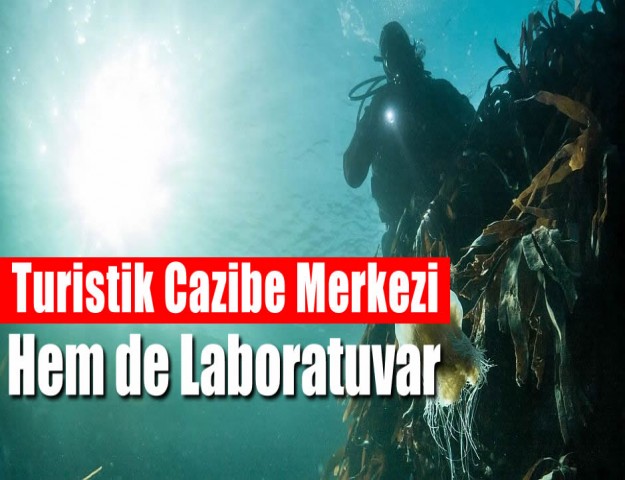 Hem Turistik Cazibe Merkezi Hem de Laboratuvar