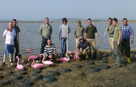 Flamingo seferberliği
