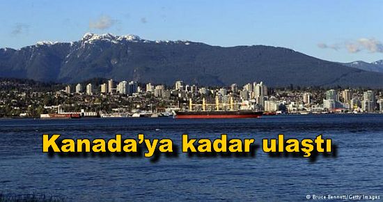 Fukuşima?dan sızan radyasyon Kanada?ya kadar ulaştı!