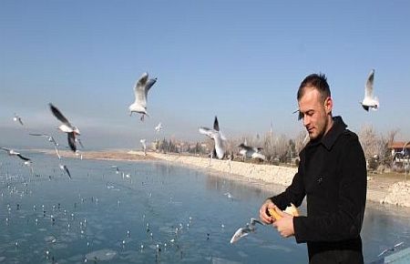Göl dondu kuşlar aç kaldı