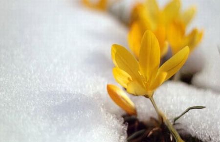 İkinci cemre SUYA düştü