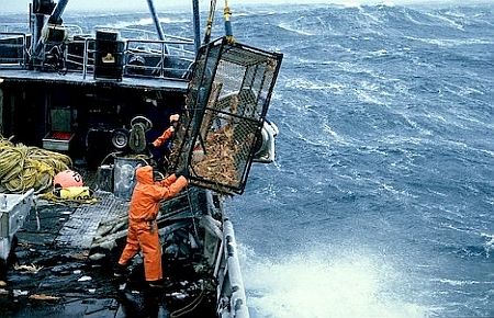 IMO fishing vessel safety conference to be held in South Africa in 2012