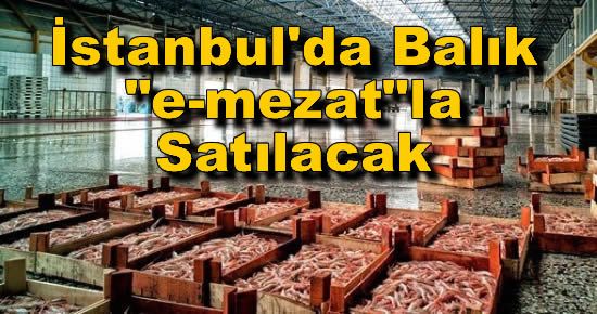 İstanbul'da Balık ?e-mezat?la Satılacak