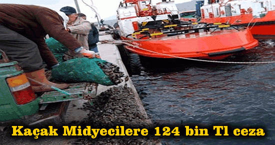 Kaçak midyecilere 124 bin TL ceza