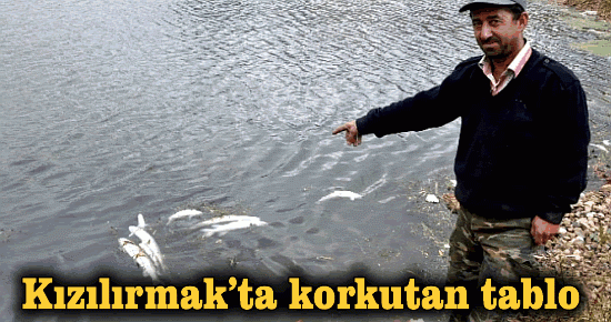 Kızılırmak?ta korkutan tablo