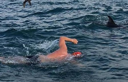  Köpekbalığından Yunuslar kurtardı