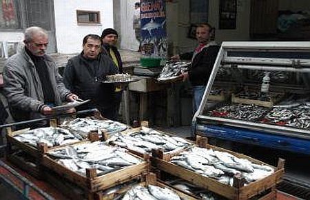 Lüfer Yüzleri Güldürüyor