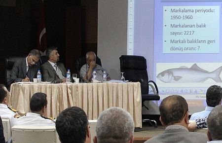 Lüferin boyu 18 cm'e çıktı diğerleri 2012'ye kaldı