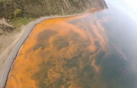 Marmara Denizi'nde Korkutan Görüntüler