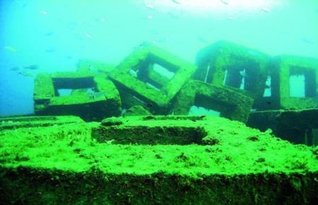Marmara Denizi'nde Yapay Resif Projesi