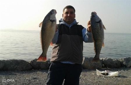 Minekop cinsi balık yakalandı