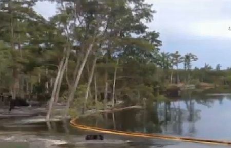  Obruk 12 metrelik ağaçları böyle yuttu