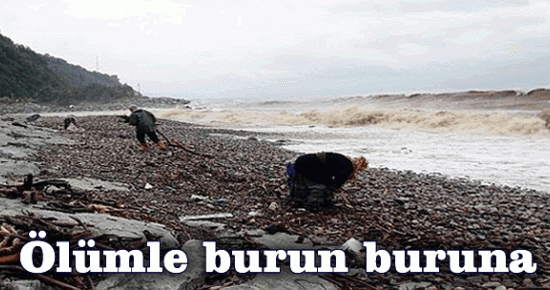  Ölümle Burun Buruna Odun Topluyorlar