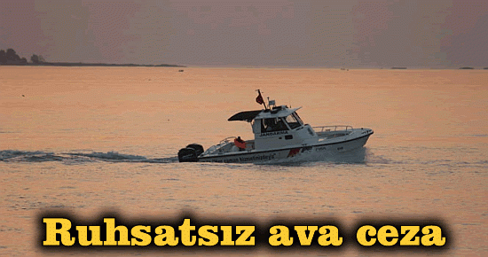 Ruhsatsız ava ceza