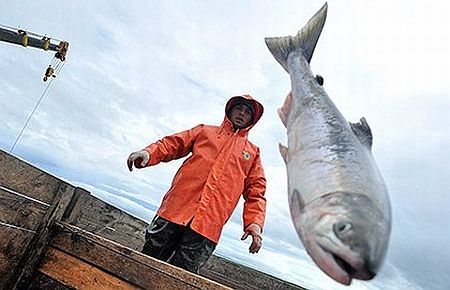 Somonlar için vakum top