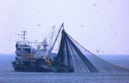 Su ürünlerimiz ABD pazarında 