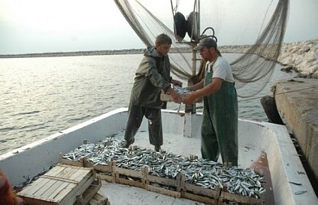 Talep Üzerine Balıkçılığa Kapalı Alan...