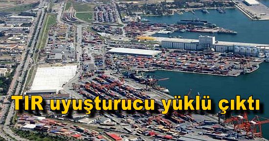  TIR uyuşturucu yüklü çıktı