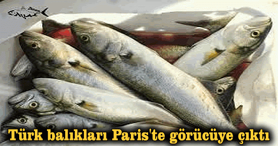 Türk balıkları Paris'te görücüye çıktı