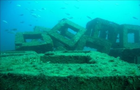 Yapay Resif Balık Türlerini Artırdı