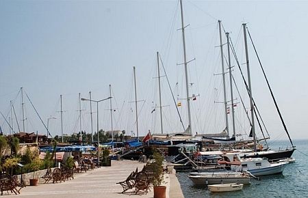 "Yat Kaçakçılığı Arttı"