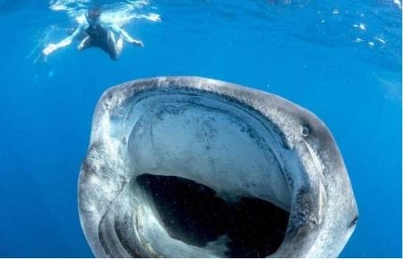 Yürekleri ağza getirdi!