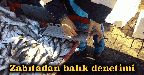Zabıtadan balık denetimi
