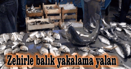 Zehirle balık yakalama iddiaları yalan